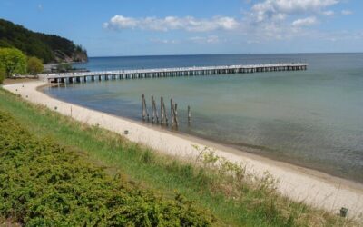 Ile szkół w Polsce działa w różnych regionach kraju?