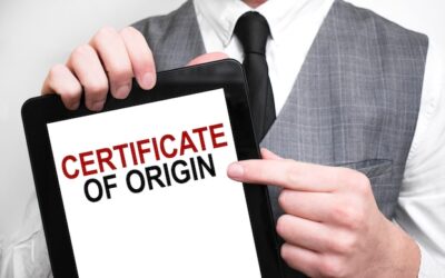 Jak wygląda certyfikat FCE i na co zwrócić uwagę?