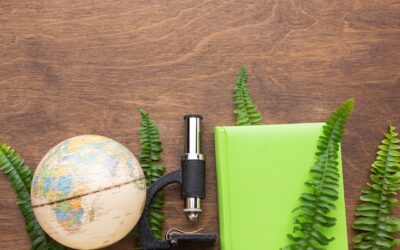 Jakie obiekty znajdują się na liście UNESCO w Polsce?