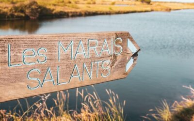 Jak długo trwa staż na nauczyciela mianowanego po zmianach w przepisach?