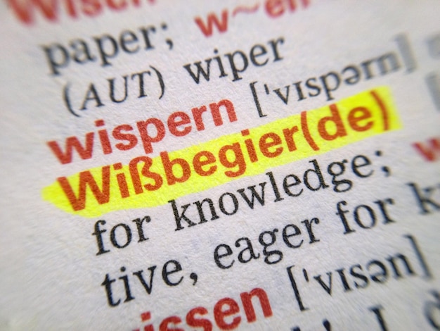 Dlaczego znajomość znaczenia wyrazów frazeologicznych wzbogaca nasz język?