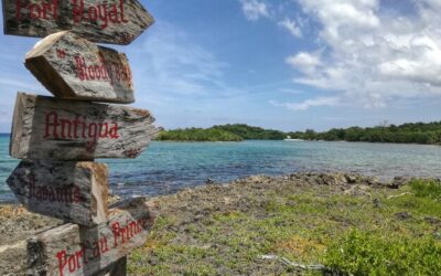 Ile lat trwa podstawówka w Polsce?