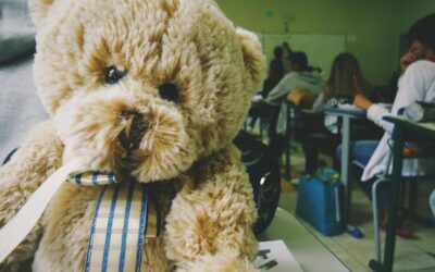 Metoda Teddy Eddie na czym polega i dla kogo jest przeznaczona?