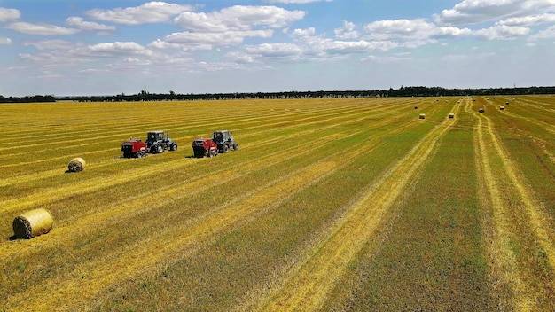 Co można produkować na wsi i jak wykorzystać lokalny potencjał?