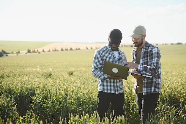 Jaki biznes na wsi 2026 może się sprawdzić?