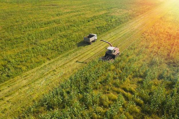 Co produkować na wsi żeby zarabiać i rozwijać swoje gospodarstwo?